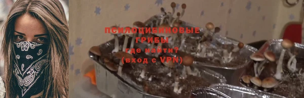 стафф Богданович