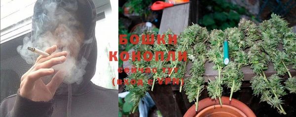 стафф Богданович